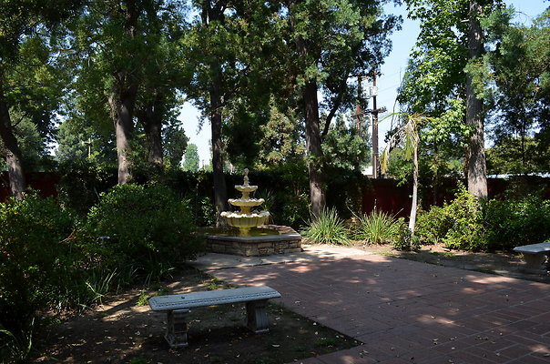 DSC 7019