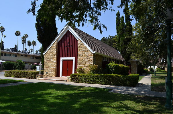DSC 7003