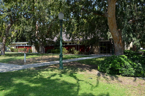 DSC 7002