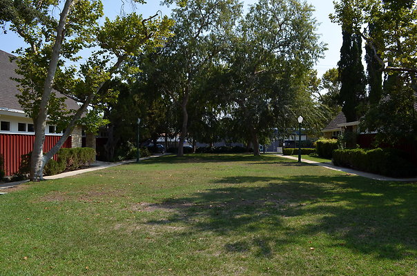 DSC 7090