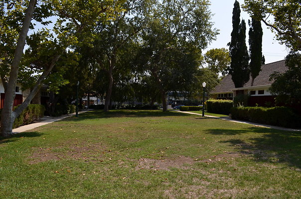 DSC 7018
