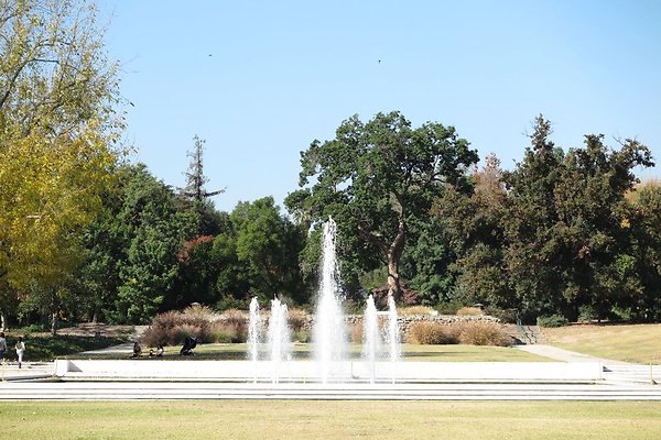 th LA Arboretum - 337 th LA Arboretum - 337