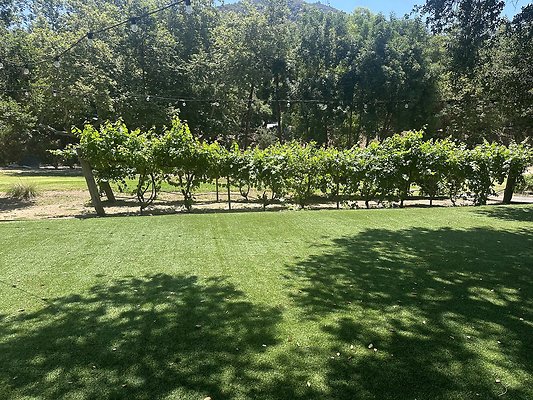 IMG 0780