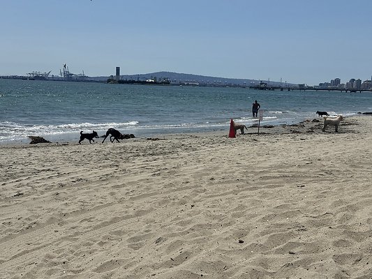IMG 3799