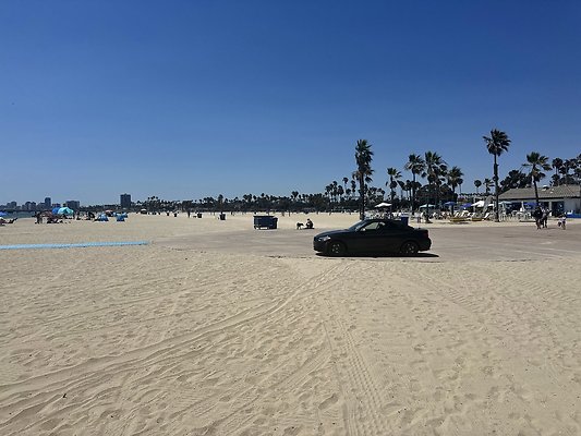 IMG 3798