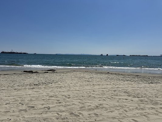 IMG 3803