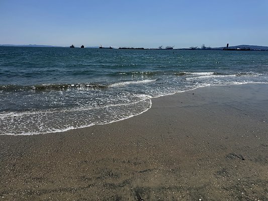 IMG 3808
