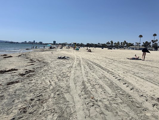 IMG 3818